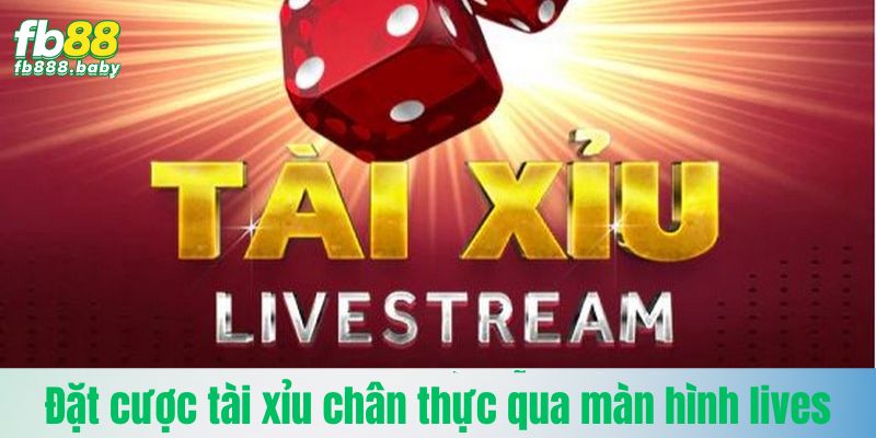 Đặt cược tài xỉu chân thực qua màn hình livestream