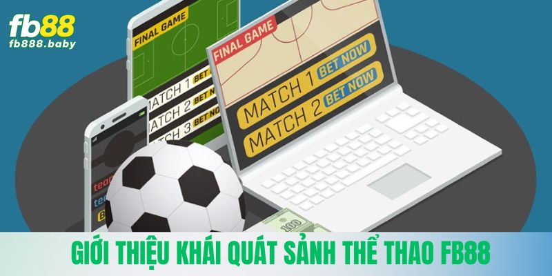 Giới thiệu khái quát sảnh thể thao Fb88