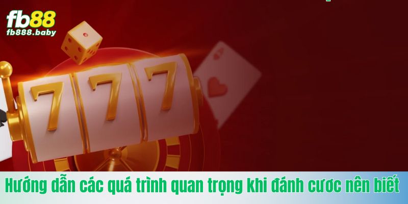 Hướng dẫn quá trình quan trọng