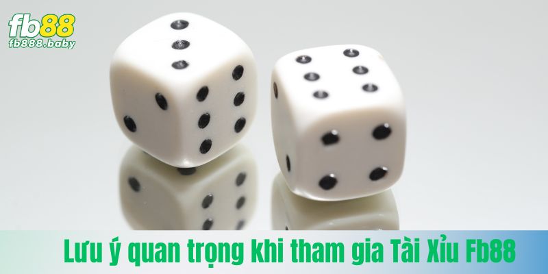 Lưu ý quan trọng cho anh em khi tham gia Tài Xỉu Fb88