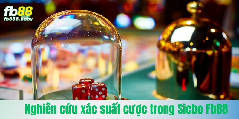 Nghiên cứu xác suất các loại cược trong Sicbo Fb88