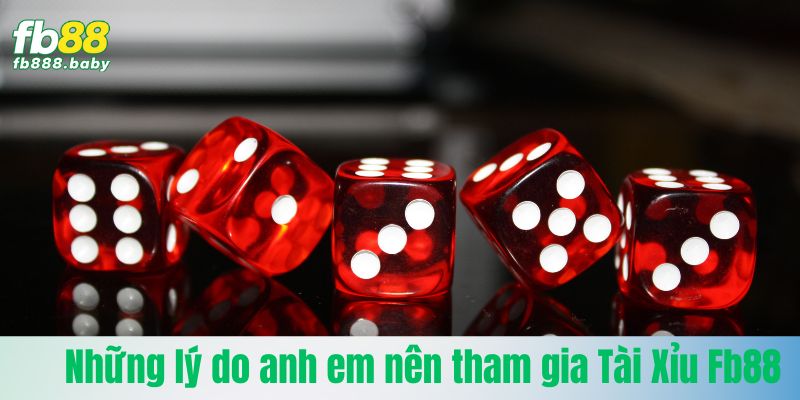Những lý do anh em nên tham gia Tài Xỉu Fb88