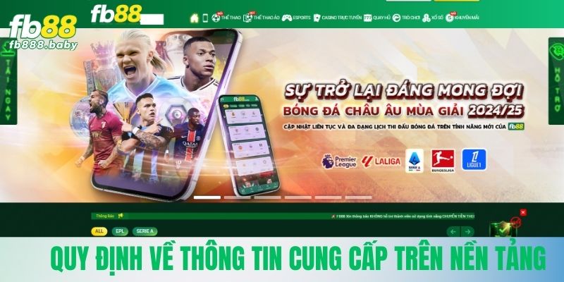 Quy định về thông tin cung cấp trên nền tảng