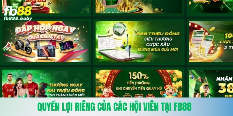 Quyền lợi riêng của các hội viên tại Fb88